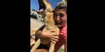 Sol encontró a su perro y dijo, "Fueron 100 días horribles"