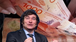 Qué son y para qué sirven los “Tickets canasta”.