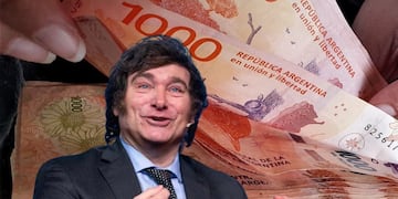 Qué son y para qué sirven los “Tickets canasta”.