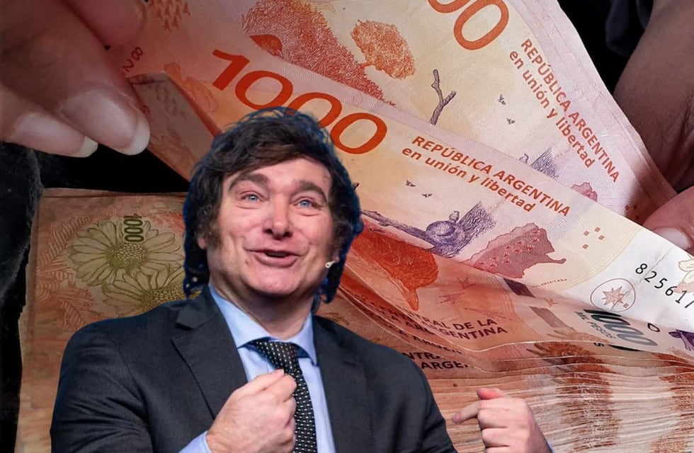 Para qué sirven los “Ticket canasta” que proponen para la Reforma Laboral de Javier Milei y cuánto del sueldo podrían reemplazar