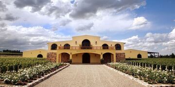 La bodega del Valle de Uco Piedra Negra con su Malbec Chacayes 2015 logró estar entre el Top 10 de las mejores del año, según Wine Spectator. Gentileza Wine Spectator