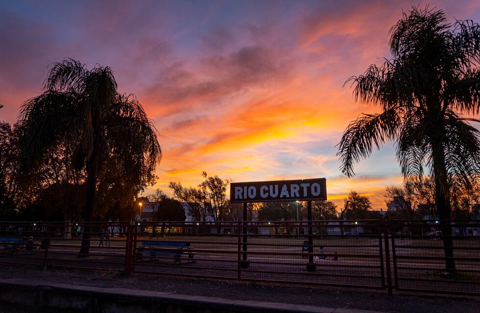 Sorprendente: encontraron los restos de un animal extinto al sur de Córdoba