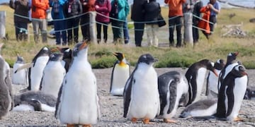 Más de 70 mil turistas visitaron Ushuaia durante temporada invernal