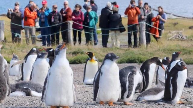 Más de 70 mil turistas visitaron Ushuaia durante temporada invernal