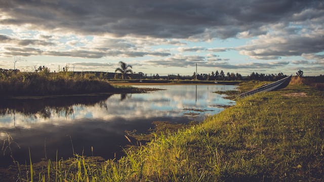 Concordia: el destino entrerriano que deslumbra con su historia, naturaleza y eventos imperdibles
