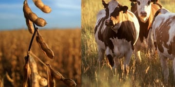 Situación de ambos productores del campo, el agrícola y el ganadero