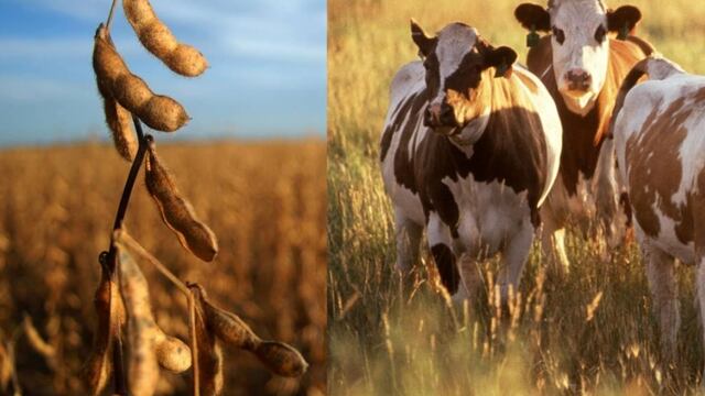 Situación de ambos productores del campo, el agrícola y el ganadero