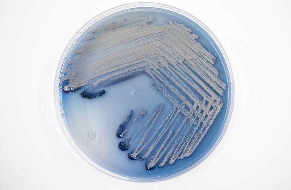 Tintte, el emprendimiento cordobés que resuelve un problema de contaminación mundial