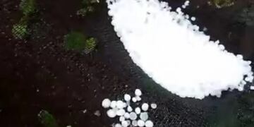 Fuerte caída de granizo en Andresito amenaza la producción de verduras y frutas.