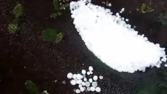 Fuerte caída de granizo en Andresito amenaza la producción de verduras y frutas.