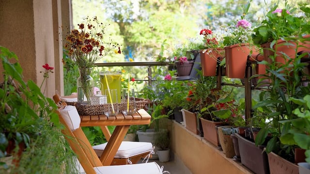 Flores para plantas en balcones