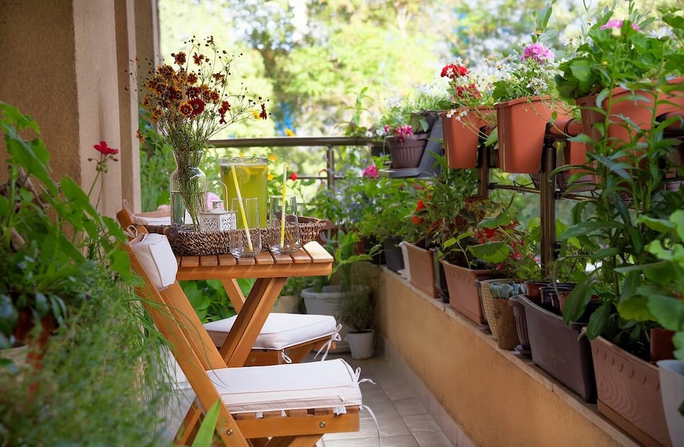 Cuál es la planta ideal para poner en tu balcón y que decorará el ambiente con colores en verano