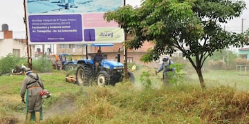 El intendente Raúl Jorge dijo que es fundamental "trabajar en espacios públicos en mal estado" para luchar contra el mosquito transmisor del dengue.