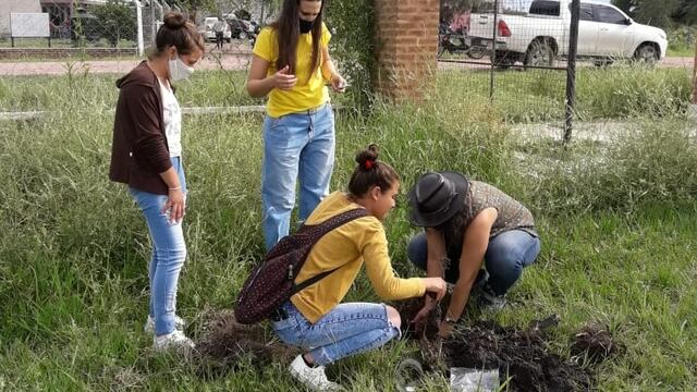 Estudiantes secundarios de El Zanjón plantaron árboles