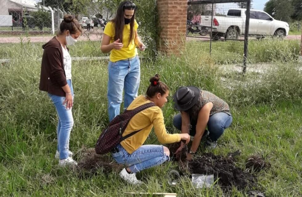 Promueven la conciencia ambiental y la reforestación en escuelas secundarias del Chaco