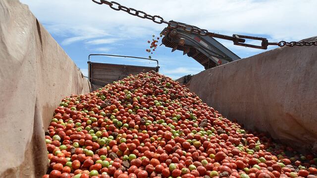 El tomate y la lechuga fueron dos alimentos que más aumentaron en enero.