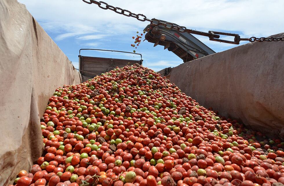 Inflación: qué modelos pretende implementar el Gobierno y a qué países quisiera imitar