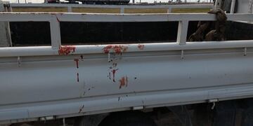 Perro fue arrastrado por el chofer de una camioneta. (Policía)