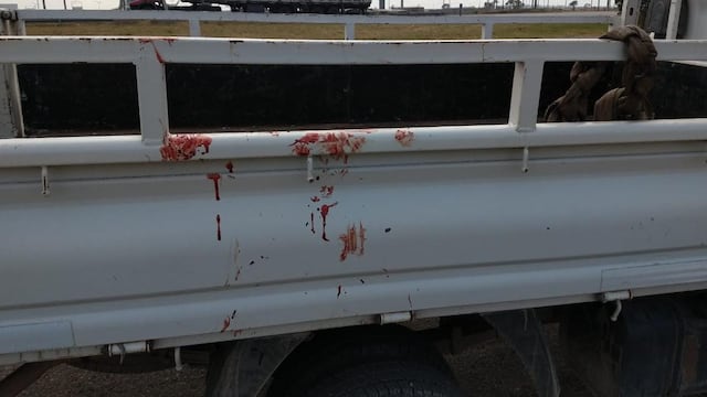 Perro fue arrastrado por el chofer de una camioneta. (Policía)