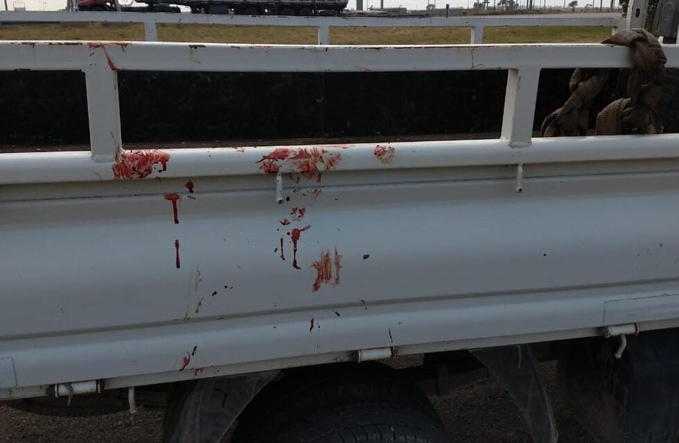 Maltrato animal en Córdoba: ató a su perro a una camioneta y lo arrastró por la autopista