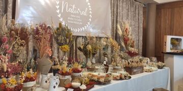 Exposiciones en el Hotel Julio Cesar.