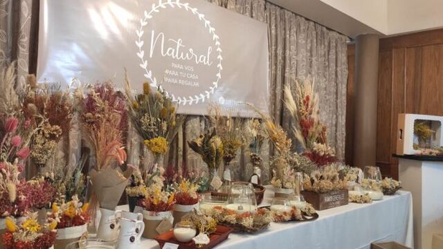 Exposiciones en el Hotel Julio Cesar.