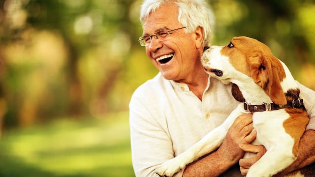 La cuarentena modificó los vínculos entre las personas y sus mascotas.