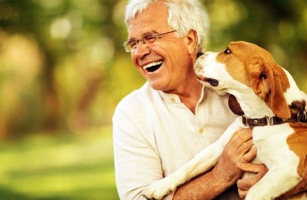 Cómo cambiaron los vínculos con las mascotas en cuarentena