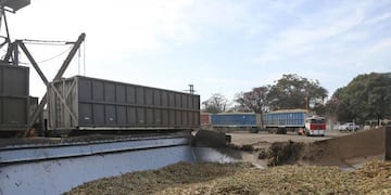 Ya son once los ingenios que se encuentran moliendo.