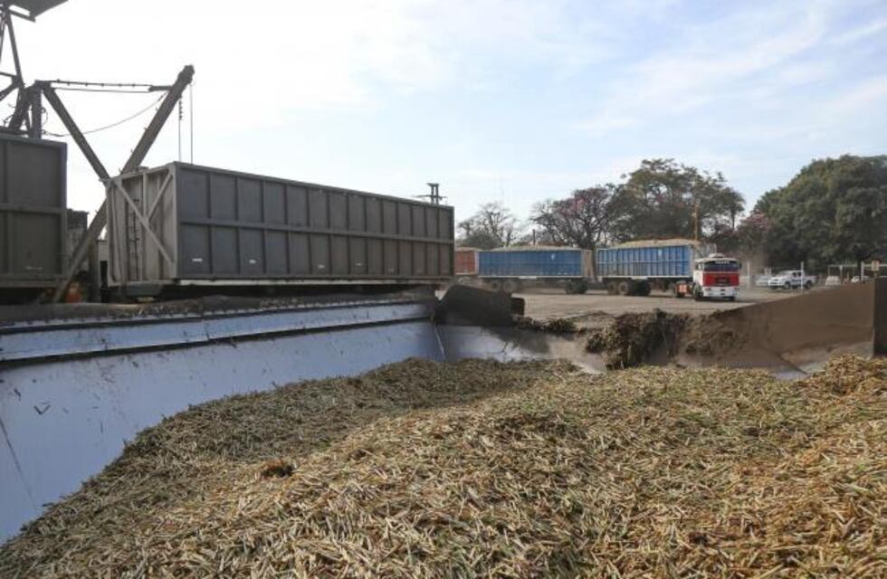 Ya son once los ingenios que se incorporan a la zafra