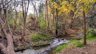 Encontraron restos óseos en un canal privado en el interior de Córdoba. (Foto: Agencia Córdoba Turismo)