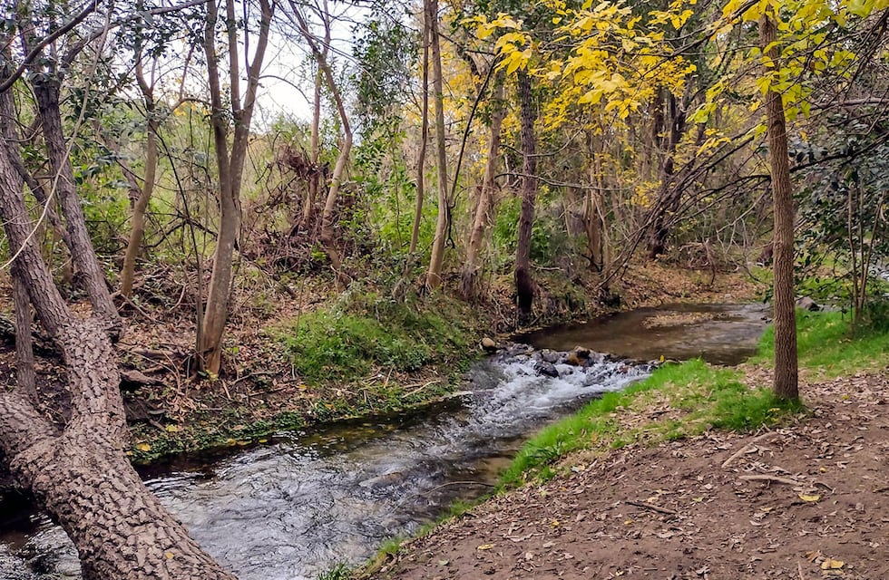 Encontraron restos óseos en un canal privado de Córdoba: lo que se sabe