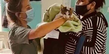 Jornada de castración en en el barrio Mora