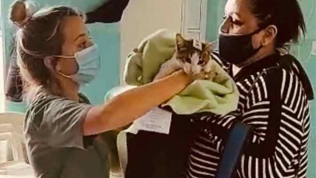 Jornada de castración en en el barrio Mora
