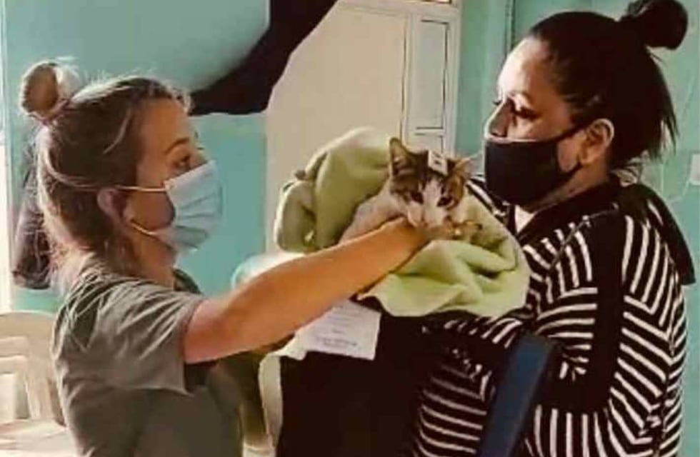 Castraron a 82 animales en otra jornada especial