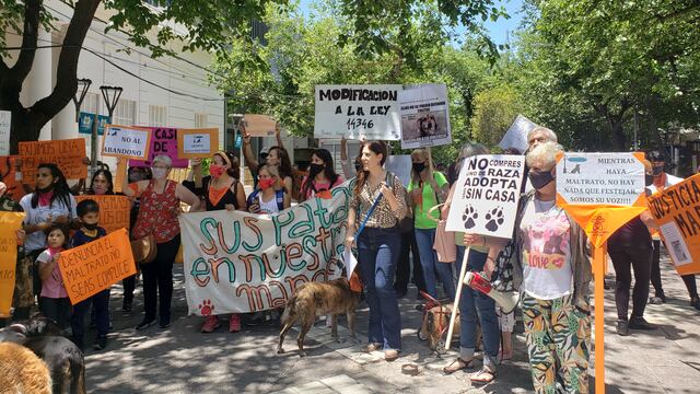 Manifestantes autoconvocados en la Legislatura