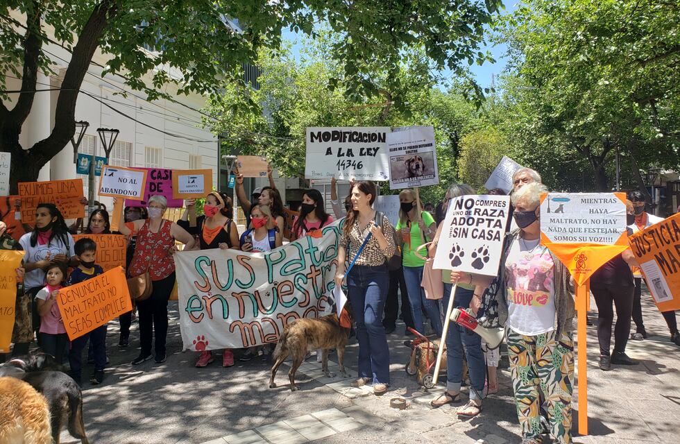 Marcha por el maltrato animal: mascotas y sus humanos pidieron penas más fuertes para los maltratadores