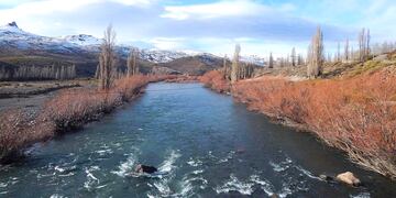 En medio de las inundaciones en Neuquén, hallaron a un extraño animal sobre el río Nahueve, Bella Vista.