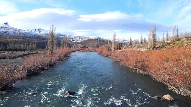 En medio de las inundaciones en Neuquén, hallaron a un extraño animal sobre el río Nahueve, Bella Vista.