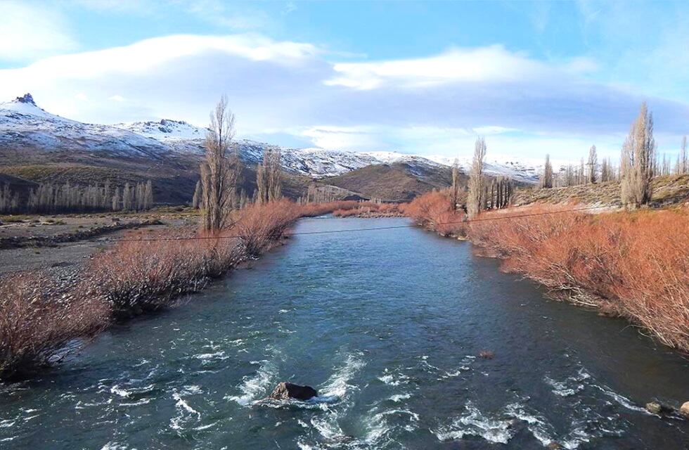 Debido a las inundaciones en Neuquén, hallaron a un extraño animal: “Nunca lo había visto”