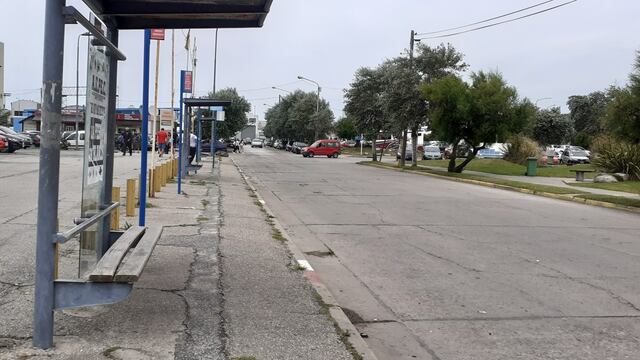 Sigue la medida de fuerza y Mar del Plata lleva cinco días sin colectivos.