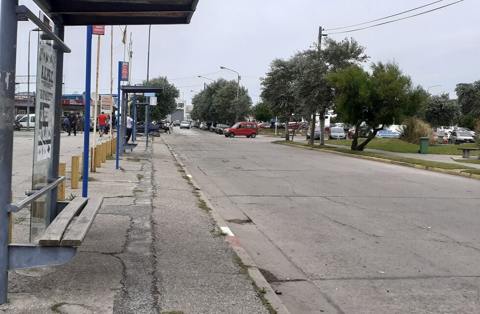Mar del Plata: continúa el paro de colectivos porque no depositaron los sueldos