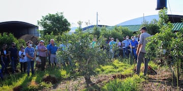 Campo Viera y Campo Grande: capacitaciones a productores de yerba