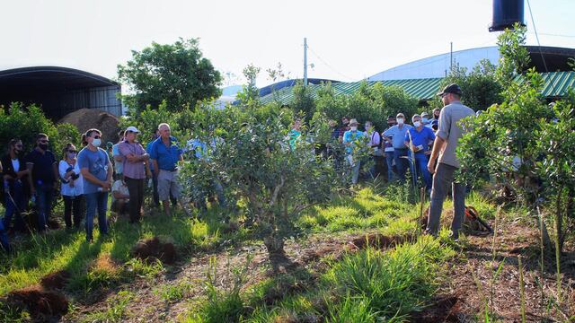 Campo Viera y Campo Grande: capacitaciones a productores de yerba
