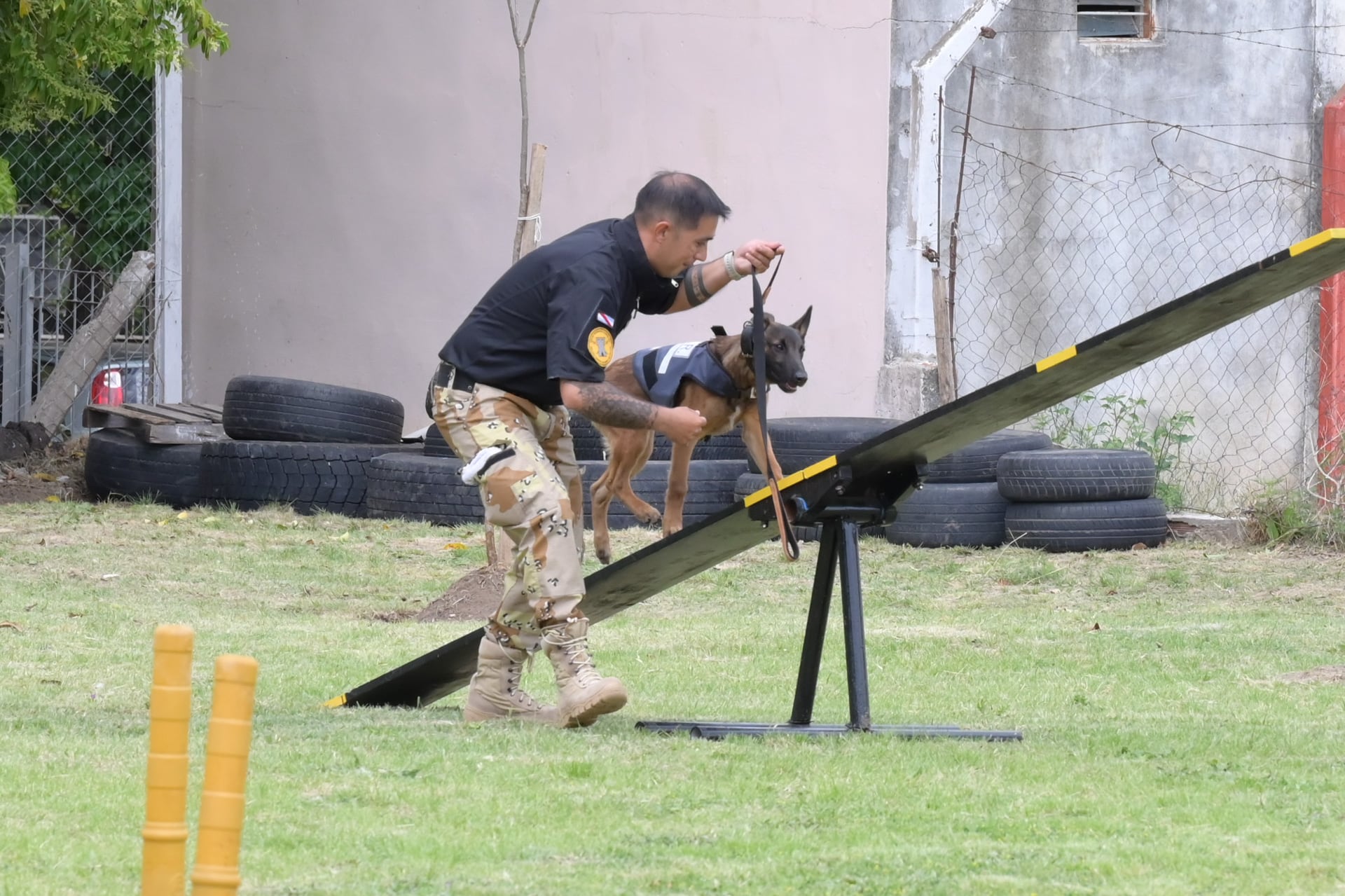 Entrenamiento para perros policías