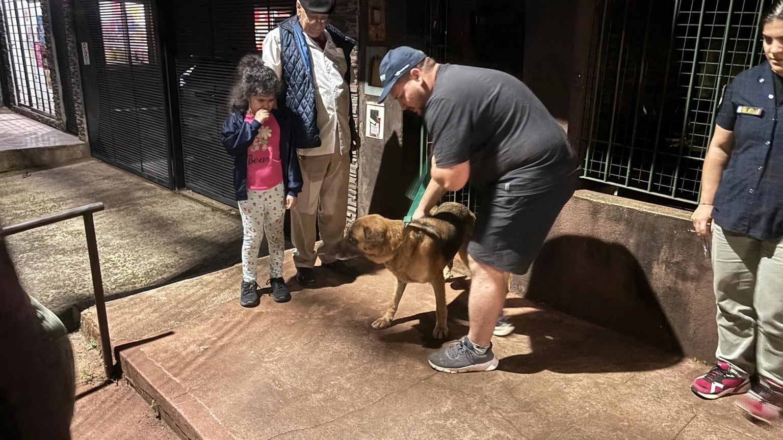 Rescataron a dos perros que vivían en condiciones de abandono extremo en Posadas.