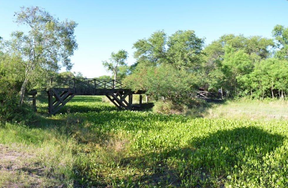 El Municipio de Resistencia pidió que el Gobierno provincial le transfiera espacios públicos y parques