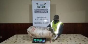 Incautan marihuana en Oberá.