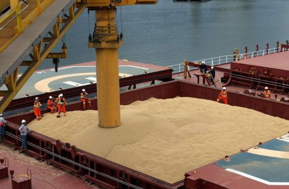 La importancia de la industria de crushing de soja en Argentina