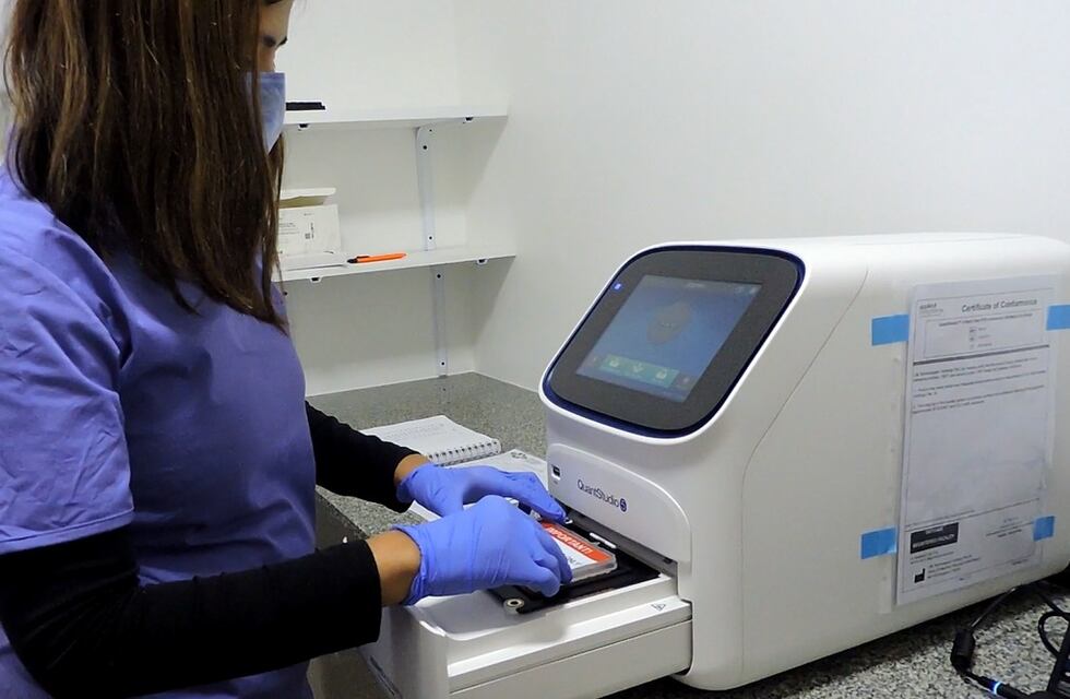 Coronavirus en Pérez: no se reportaron casos